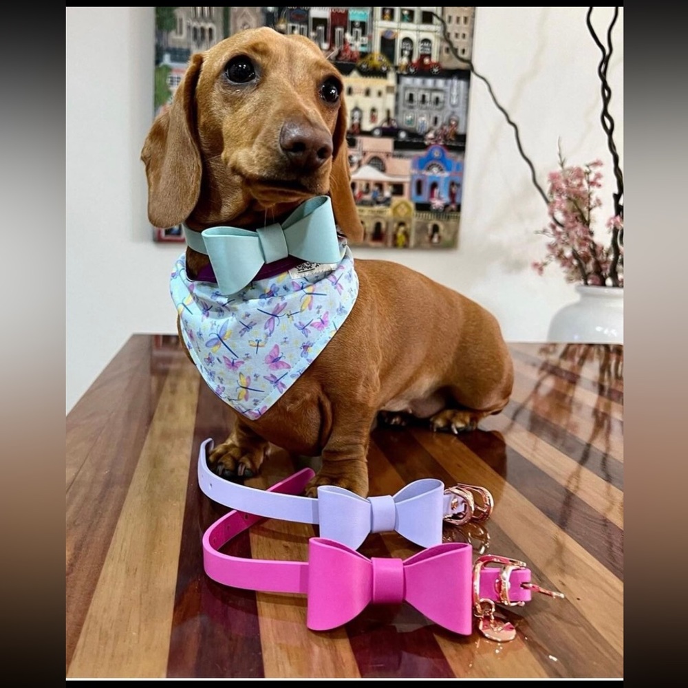 Gold Leather Dog Collar | Gold Hardware and Removable Bow | Small - Picture 9 of 15
